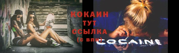 прущие крисы Верея