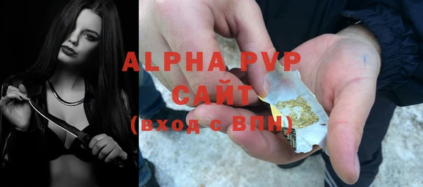 прущие крисы Верея
