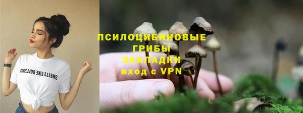 прущие крисы Верея