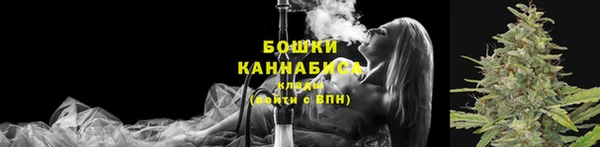 прущие грибы Краснослободск