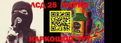 индика Новозыбков