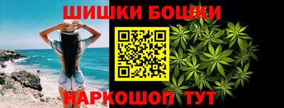 индика Новозыбков