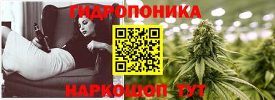 индика Новозыбков