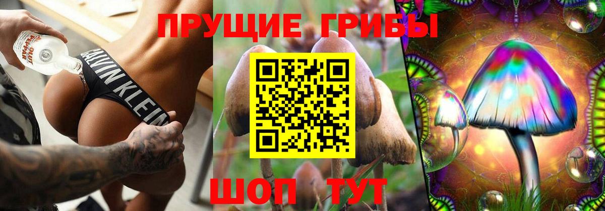 Галлюциногенные грибы мухоморы  Вход с VPN  Галлюциногенные грибы Magic Shrooms  дарнет шоп  Северск 
