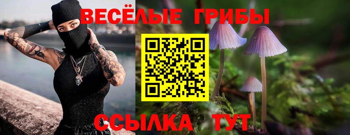 Галлюциногенные грибы Cubensis Северск